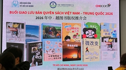 Bringing Vietnamese books to the world: 'Serious investment in translated literature is needed'