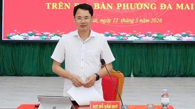 100 % des quartiers et communes de Bac Ninh ont mis en place des comités de pilotage pour compléter les données foncières.