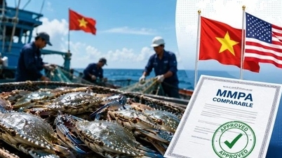 Dobrá zpráva pro vývoz vietnamských krabů do USA.