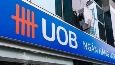 بانک UOB ویتنام به عنوان «بهترین بانک برای کسب‌وکارهای سرمایه‌گذاری مستقیم خارجی» شناخته شد