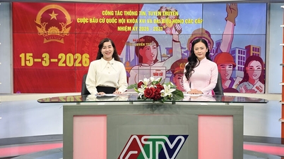 2026 yılının ikinci çeyreğine ait "Halk Soruyor - Hükümet Cevaplıyor" köşesi: Birçok ilginç konu.