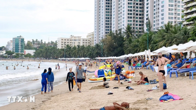 Podczas Festiwalu Morskiego Khanh Hoa 2026 odbędzie się wiele wyjątkowych i wyjątkowych wydarzeń.