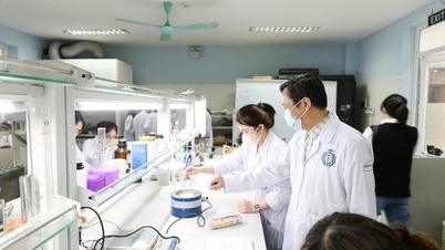 Université nationale du Vietnam, Hanoï : Du cours de l’histoire au rôle du pôle intellectuel national