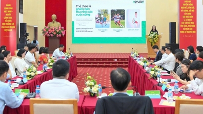 Membangunkan generasi muda yang serba boleh: Daripada pendidikan hinggalah kecergasan fizikal.
