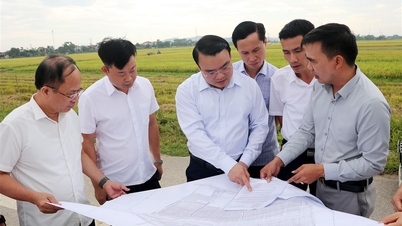 Vice ordförande för provinsens folkkommitté, Phung Thanh Vinh, inspekterar genomförandet av flera industriella klusterprojekt.