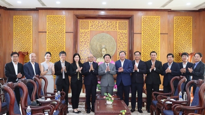 Керівництво компанії Suntory Pepsi Vietnam здійснило візит ввічливості до керівництва провінції Тайнінь.