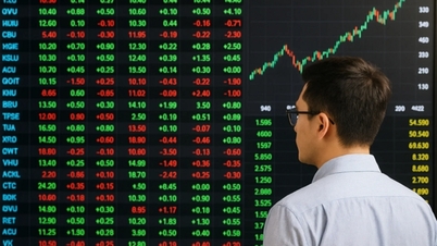 Aktien mit hoher Marktkapitalisierung schießen in die Höhe, der VN-Index erreicht ein neues Allzeithoch.