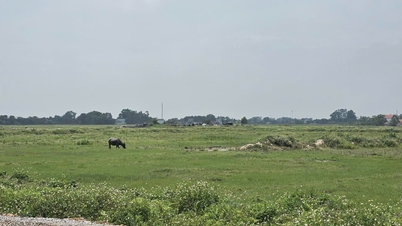 Bac Ninh: Warum hinkt das Projekt des Industrieparks Phuc Son nach dem Spatenstich dem Zeitplan hinterher?