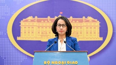 Vietnam požaduje, aby všechny země respektovaly vietnamskou suverenitu nad Spratlyho ostrovy.