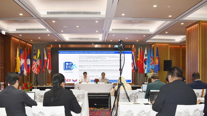 Potenziare l'istruzione di base nell'ASEAN attraverso un'ampia valutazione internazionale.