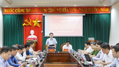Tim survei dari Komite Sains, Teknologi dan Lingkungan bekerja sama dengan Komite Rakyat provinsi Ninh Binh.