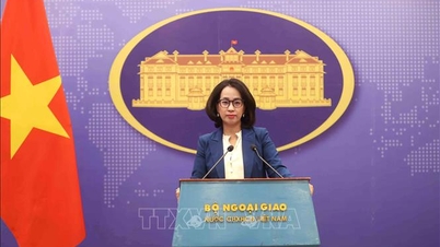Les citoyens vietnamiens doivent se méfier des offres d'emploi sur Internet.