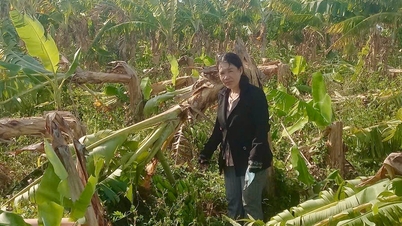 Tornadoes cause over 400 million VND in damage in Ham Kiem commune.