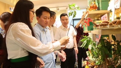 „Životnost vietnamských produktů“: Očekávání, že „vydláždí cestu“ specialitám z horských oblastí.