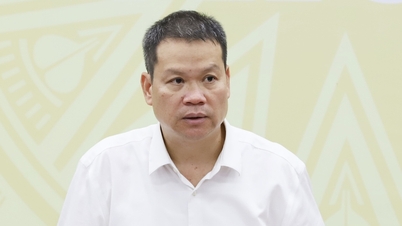 Đề xuất đưa một phần sinh viên Đà Nẵng đào tạo tại cơ sở Quảng Nam cũ