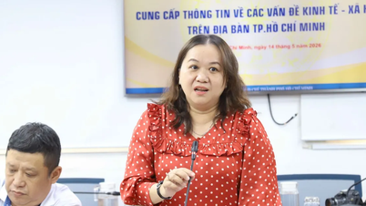 Accelerare i lavori di bonifica dei terreni per il progetto di ristrutturazione del canale Xuyen Tam.