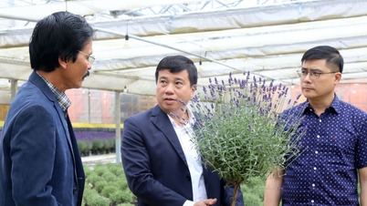 Setiausaha Jawatankuasa Parti Wilayah Lam Dong Y Thanh Ha Nie Kdam melawat dan bekerja di Dalat Hasfarm Co., Ltd.