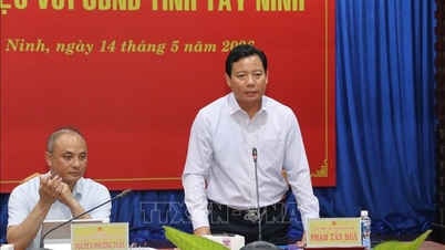 우편 관련 법률은 디지털 경제의 발전 속도를 따라가지 못하고 있습니다.