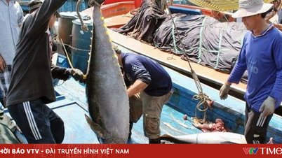 Usulan untuk membangun pusat lelang tuna pertama.