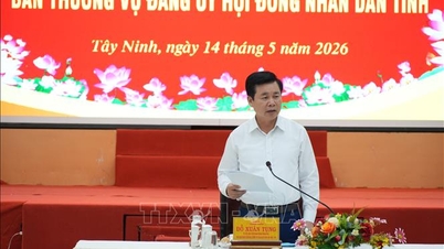 Das Inspektionsteam Nr. 19 des Politbüros arbeitet mit Tay Ninh zusammen.