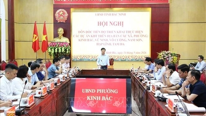 Bac Ninh menggesa kemajuan projek pembangunan bandar.