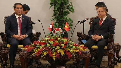 Die Hauptstadt Vientiane (Laos) möchte von den Erfahrungen Ho-Chi-Minh-Stadts im Bereich der Gemeindeverwaltung lernen.
