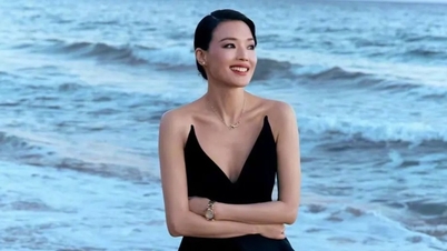 Actress Shu Qi looks stunning at 50 in a daring, low-cut dress.