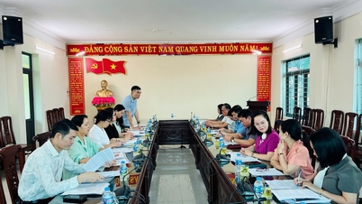 V provincii Ninh Binh pracuje průzkumný tým z Oddělení pro místní kulturu, rodinu a knihovny.