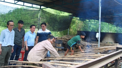 เป็นพื้นที่ที่เหมาะสมอย่างยิ่งสำหรับการปลูกไผ่
