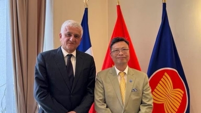Duta Besar Vietnam ke Perancis telah mengadakan pertemuan dengan Presiden Wilayah Normandy, Perancis.