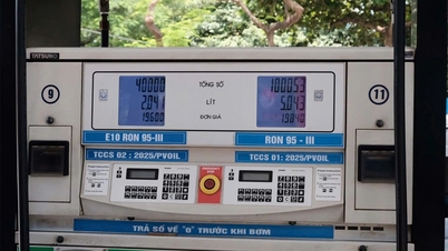 Petrolimex přestane prodávat benzin s oktanovým číslom RON 95 a od 20. května bude prodávat pouze benzin E10.