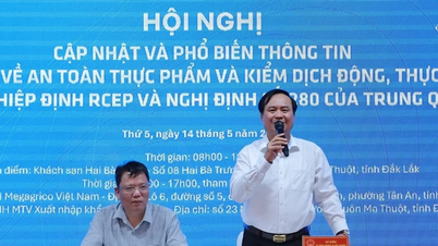 Chuẩn hóa sản xuất, nâng cao năng lực tuân thủ