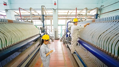 Viet Tri Chemical Joint Stock Company: 65 Tahun Perjalanan dan Aspirasi