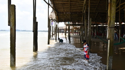 Profitez d'une baignade sous un parasol couvert unique à la plage de Khe Hai, à Quang Ngai.