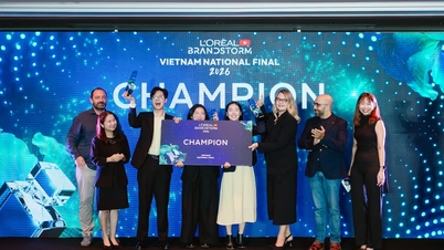 Les étudiants de RMIT remportent un franc succès aux concours Vietnam Young Lions et L'Oréal Brandstorm.