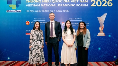 Leçons internationales et options politiques pour la marque nationale du Vietnam.