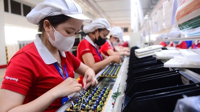 Ho Či Minovo Město je lídrem v ekonomické efektivitě soukromého sektoru.