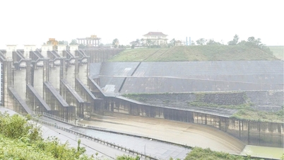 Investir dans des infrastructures d'irrigation adaptées au changement climatique.