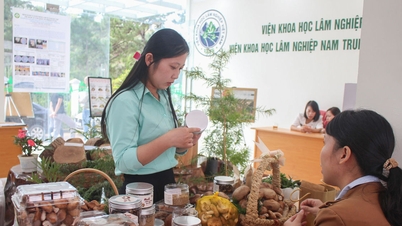 Lam Dong Department of Science and Technology supports small and medium-sized enterprises in digital transformation.