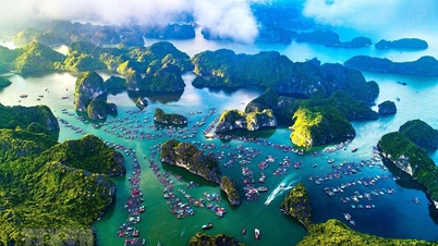 Quang Ninh: Już wkrótce w zatoce Ha Long odbędzie się „Dzień 7 Cudów” na wielką skalę.