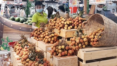W związku z trwającym sezonem zbiorów liczi Hanoi wspiera lokalne regiony w sprzedaży ich produktów.