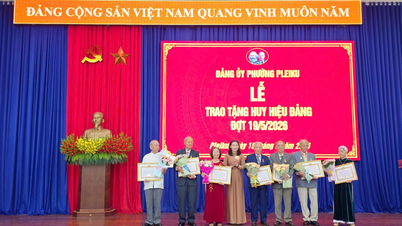 Valkretsarna Pleiku och Hoai Nhon Nam delade ut partimärken den 19 maj.