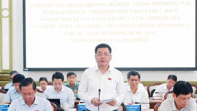 Der stellvertretende Sprecher der Nationalversammlung, Nguyen Hong Dien, arbeitete mit den Volkskomitees von Ho-Chi-Minh-Stadt, Dong Nai und der Provinz Tay Ninh zusammen.