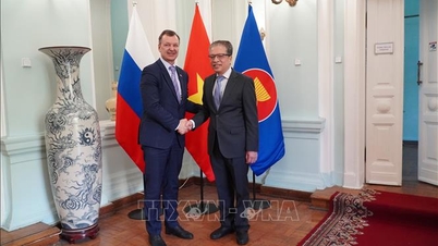 Arah utama kerja sama Vietnam-Rusia pada tahun 2026