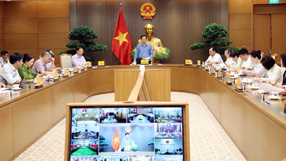 Vicepremier Ho Quoc Dung: Focus op het opzetten van mechanismen en beleid ter ondersteuning van de ontwikkeling van teeltgebiedcodes en verpakkingsfaciliteiten voor landbouwproducten bestemd voor de export.