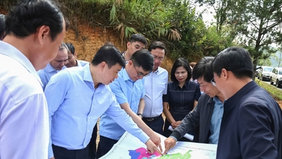 Bí thư Tỉnh ủy Lâm Đồng Y Thanh Hà Niê Kđăm kiểm tra Khu du lịch quốc gia hồ Tuyền Lâm
