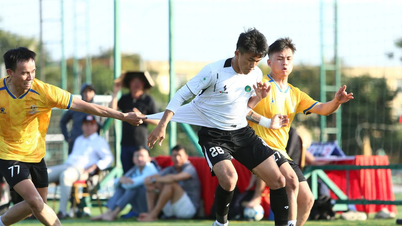 180 joueurs des hôtels de Da Nang s'affrontent pour la DHA Cup 2026.