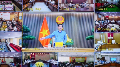 Xử lý nghiêm tình trạng mua bán mã số vùng trồng để bảo vệ uy tín nông sản