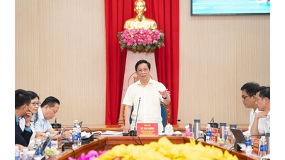 Xây dựng Phú Quốc trở thành hình mẫu đảo xanh của Việt Nam