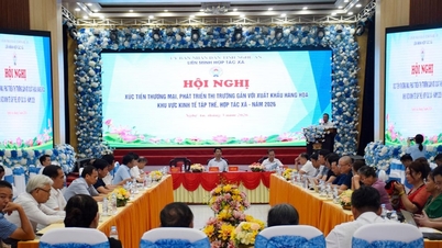 เหงะอาน: ขยายตลาดและปรับทิศทางสหกรณ์ไปสู่การส่งออก